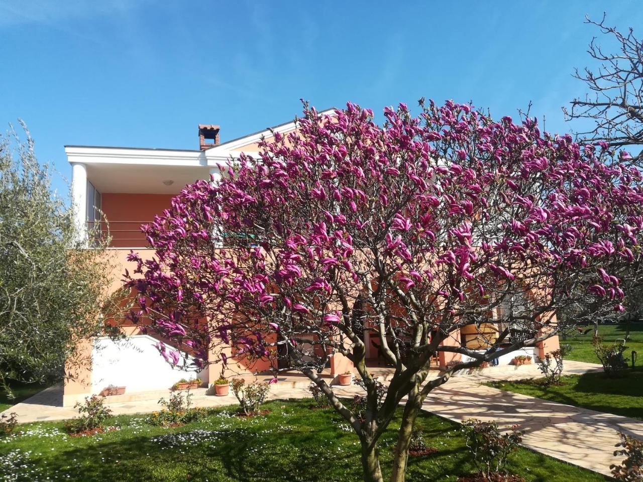 B&B Carmela Umag Exterior photo