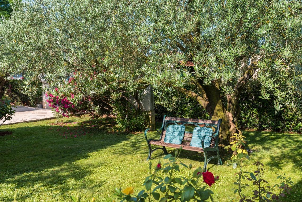 B&B Carmela Umag Exterior photo